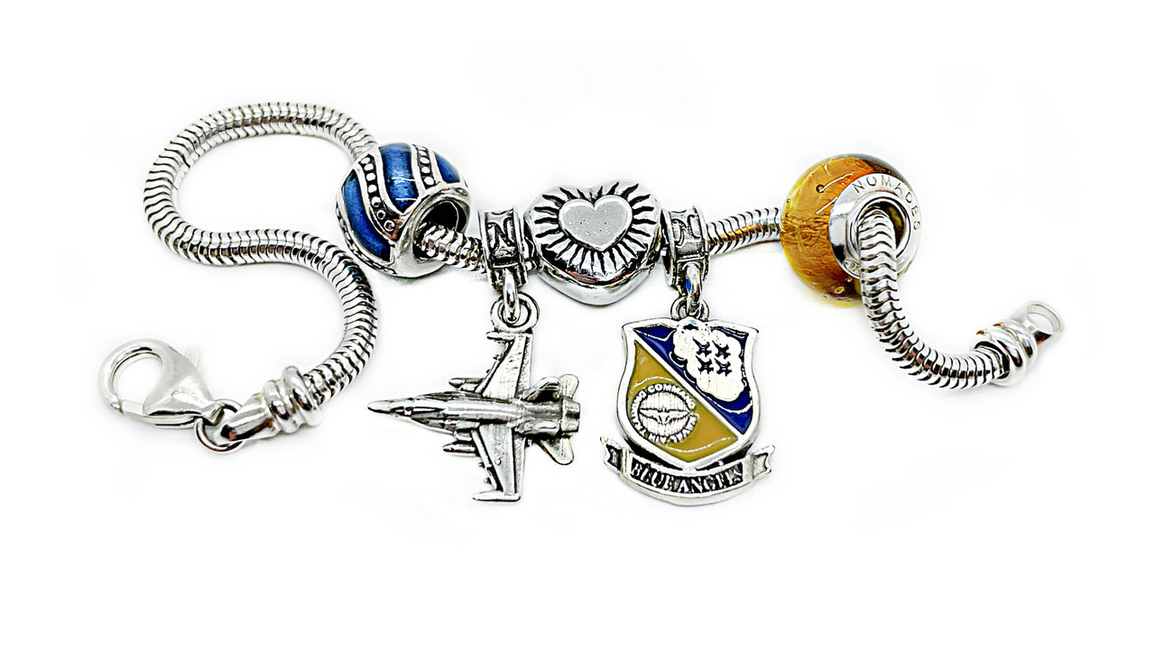Navy Service and Professional Charms
