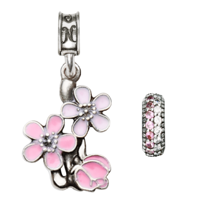 NFS Anacostia Cherry Blossom Bundle