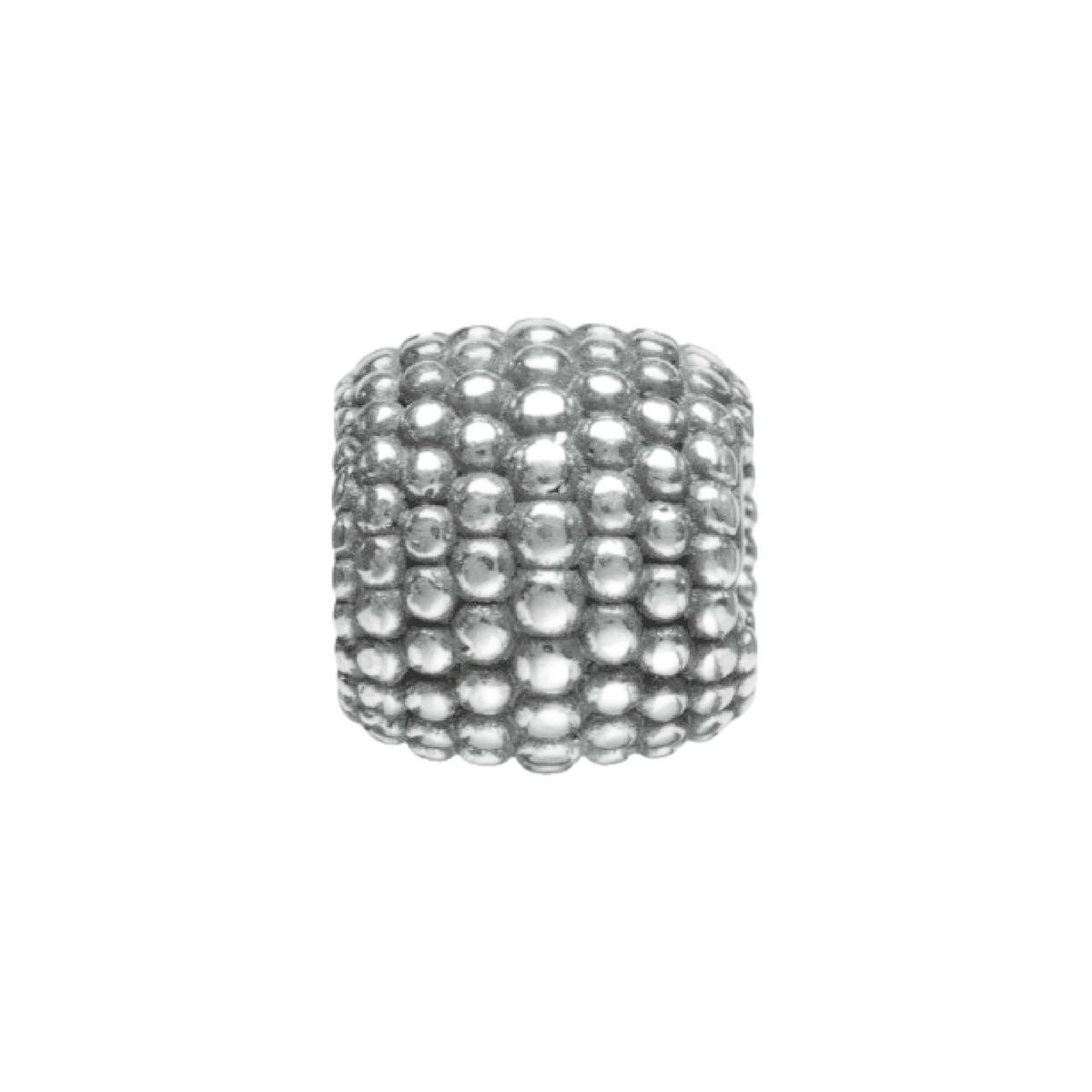 Beaded Brillance Sterling Silver Charm