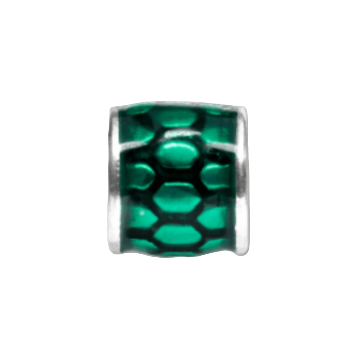 A Turtle's Tale Bead Charm