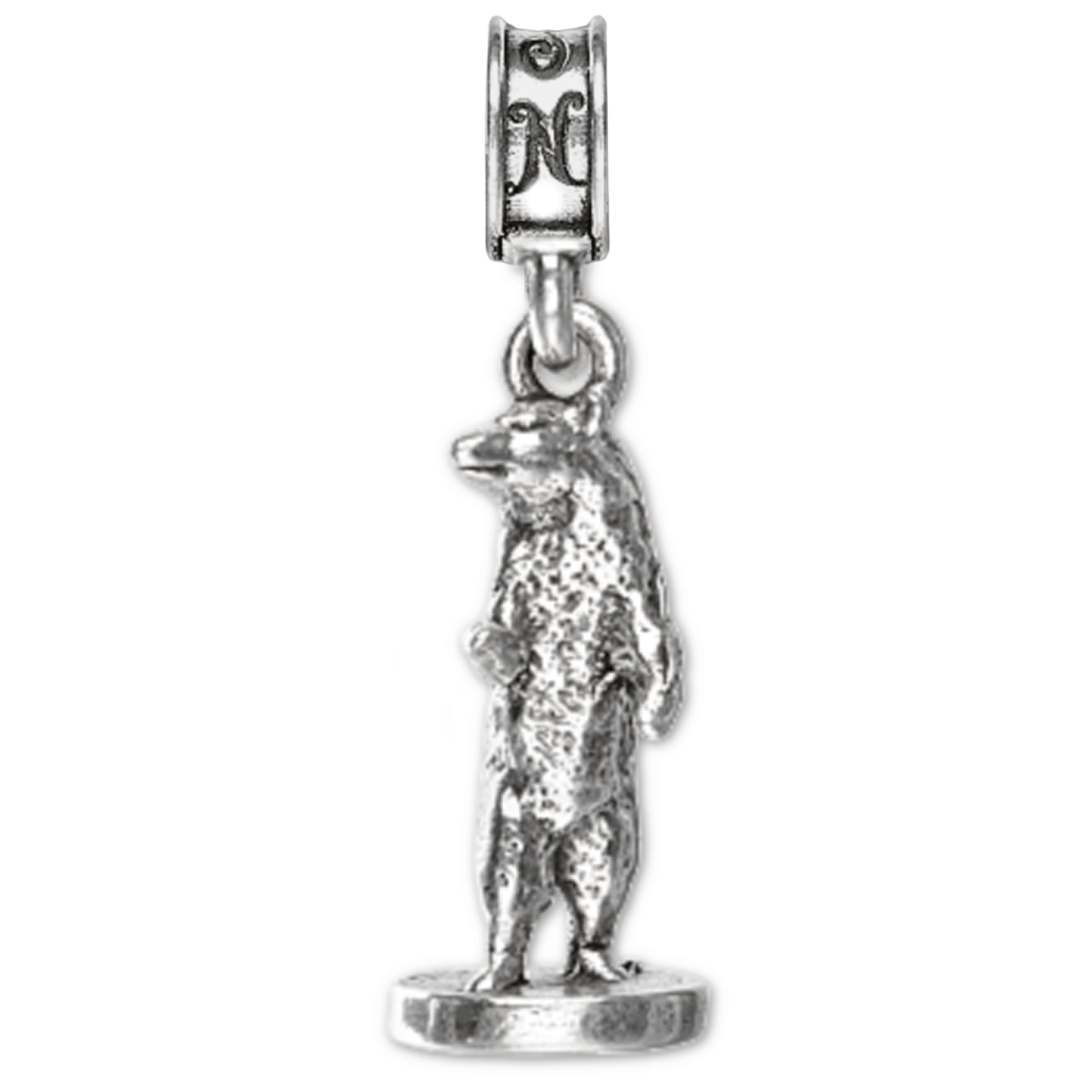 Coast Guard Academy Charm