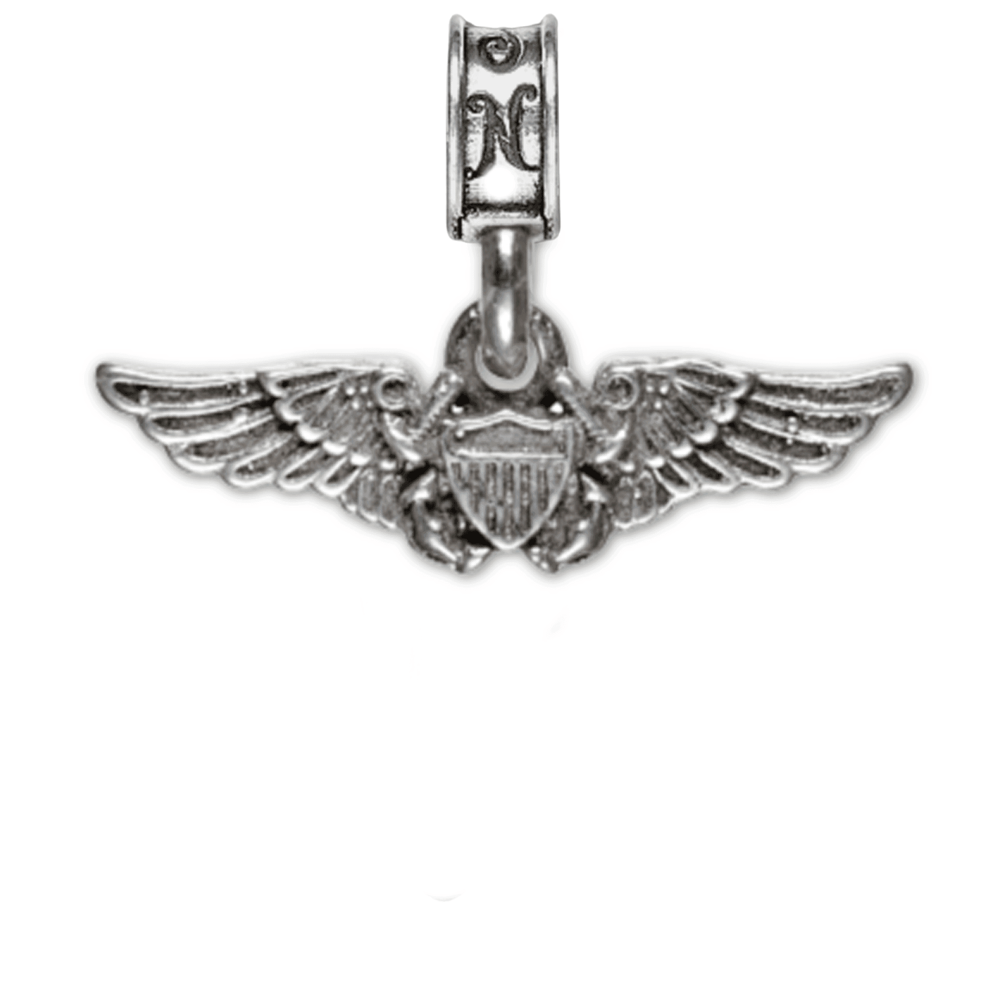 Naval Flight Officer