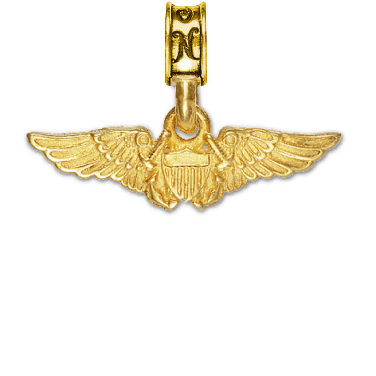 Naval Flight Officer