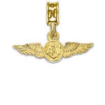 Military Jewelry, Military Charms, Navy, USN, Military Gifts, Naval Air Crew Charm gold
