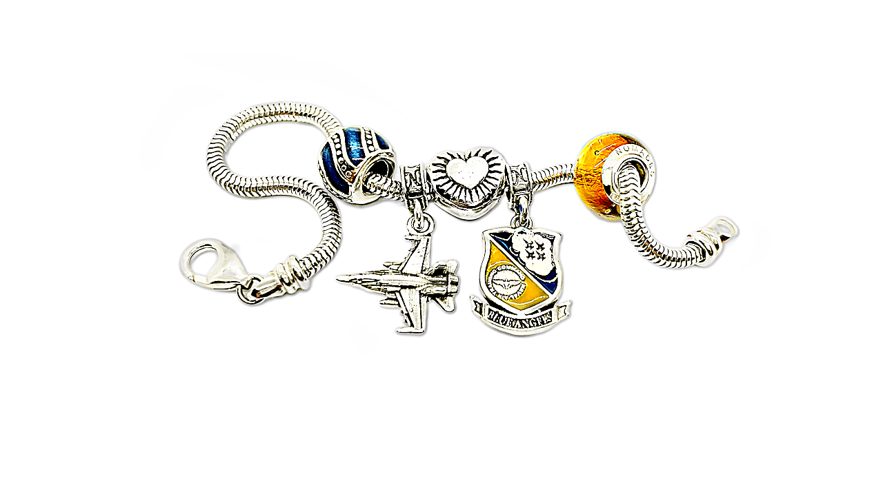 Navy Service and Professional Charms