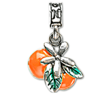 NSA Orlando Orange Charm