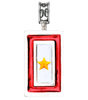 Military Jewelry, Military Charms, Military Gifts, Gold Star Flag Pendant for Necklace, Gold Star Mom, Gold Star Wife
