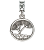 NAWS China Lake Joshua Tree Charm