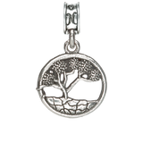 NAWS China Lake Joshua Tree Charm