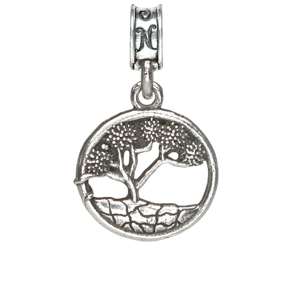 NAWS China Lake Joshua Tree Charm