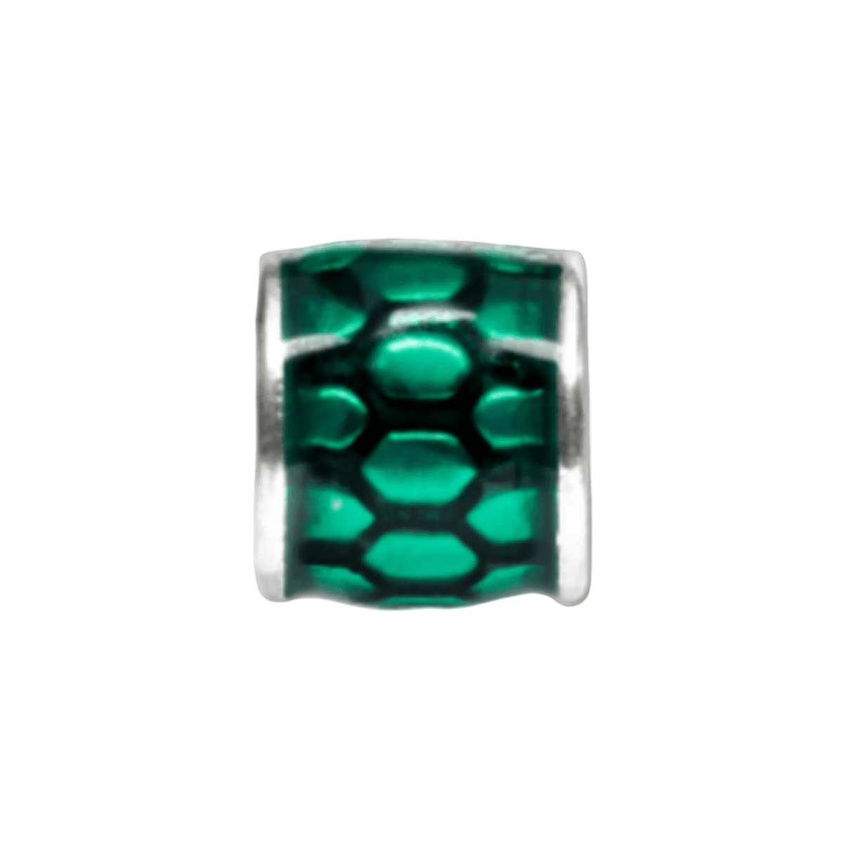 A Turtle's Tale Bead Charm