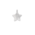 Charm on a charm Star Charm Blank