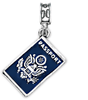 Military Jewelry, Military Charms, Military Gifts, Travel Charms, Passport Charm