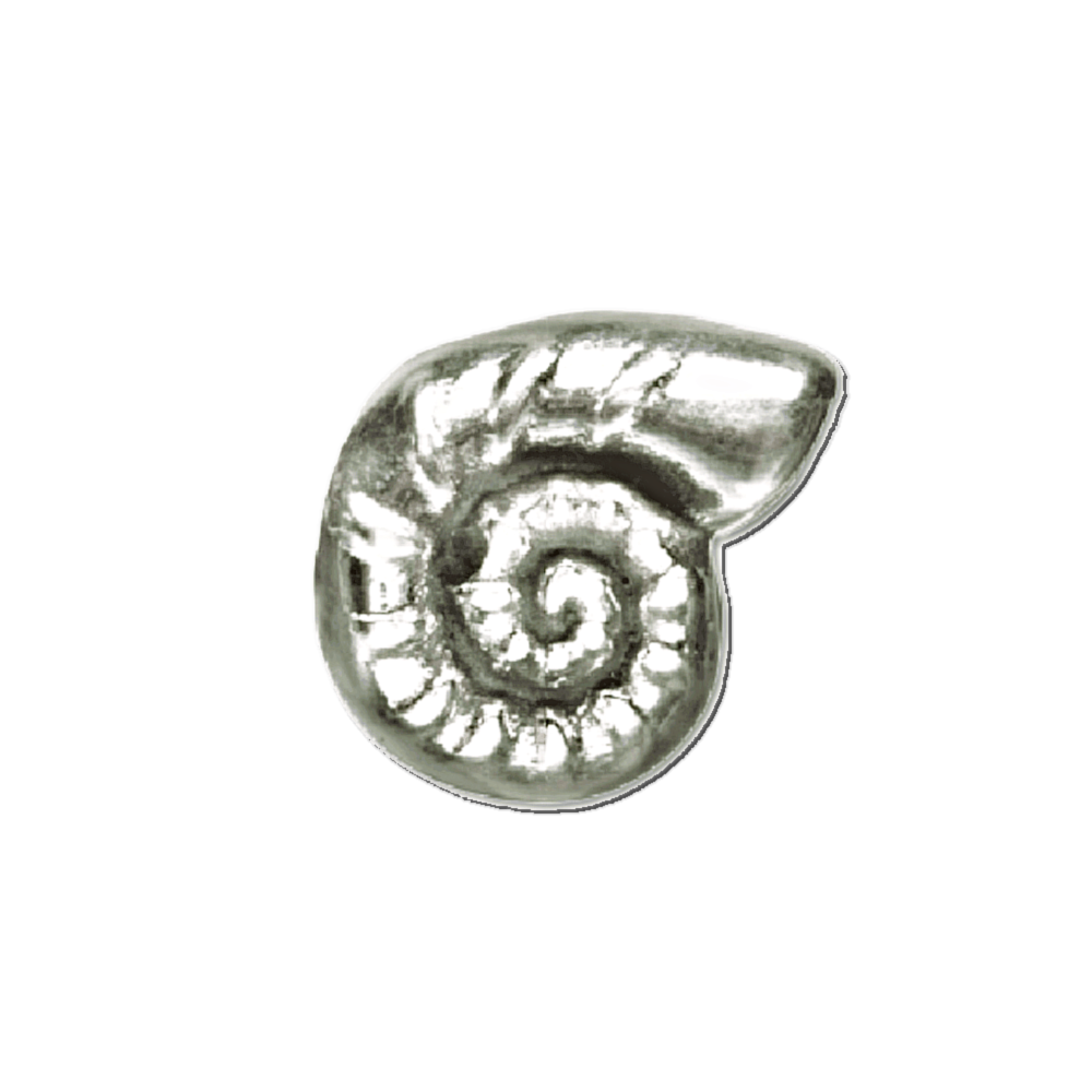 WIYO World Is Your Oyster Bead Charm