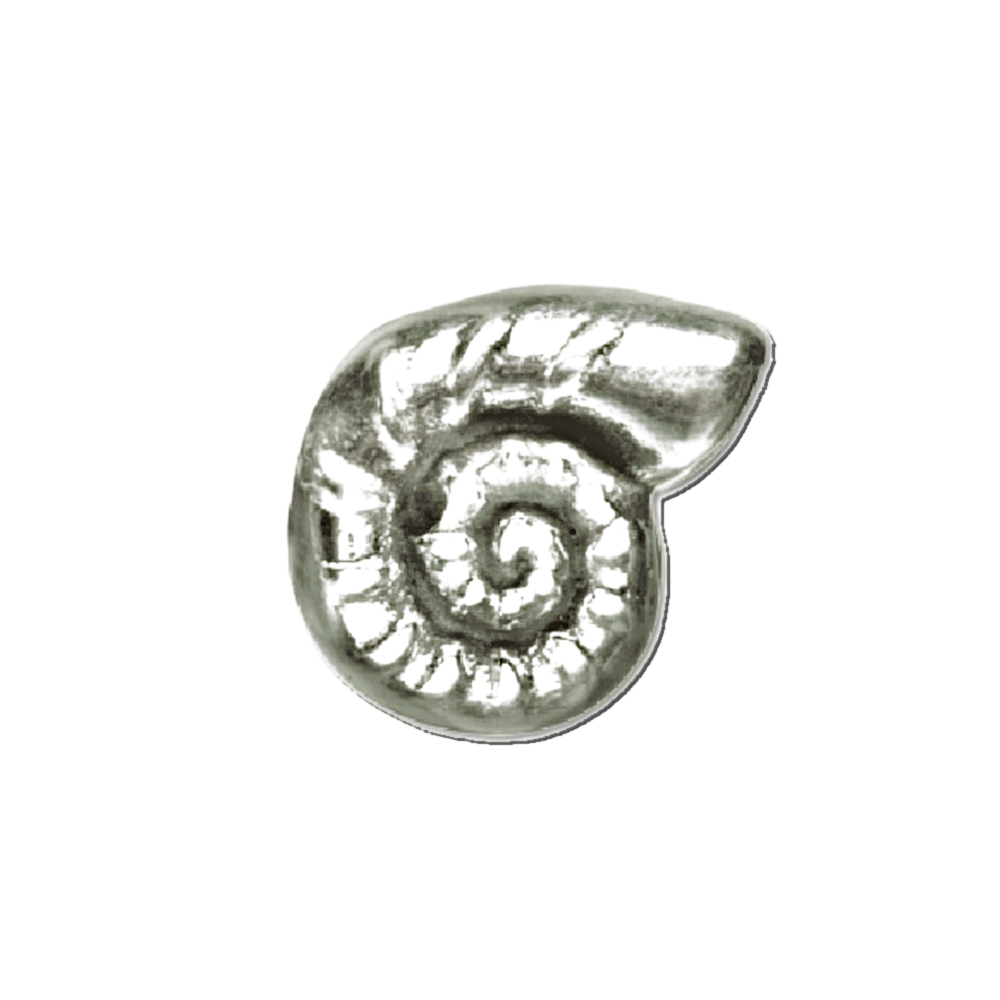 WIYO World Is Your Oyster Bead Charm