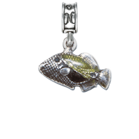 Hickam AFB Humuhumunukunukuapuaa Charm