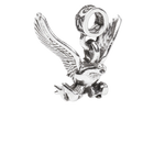USAFA, United States Air Force Academy Charm, Falcons, Military Charms, Military Academy Charm
