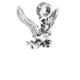 USAFA, United States Air Force Academy Charm, Falcons, Military Charms, Military Academy Charm