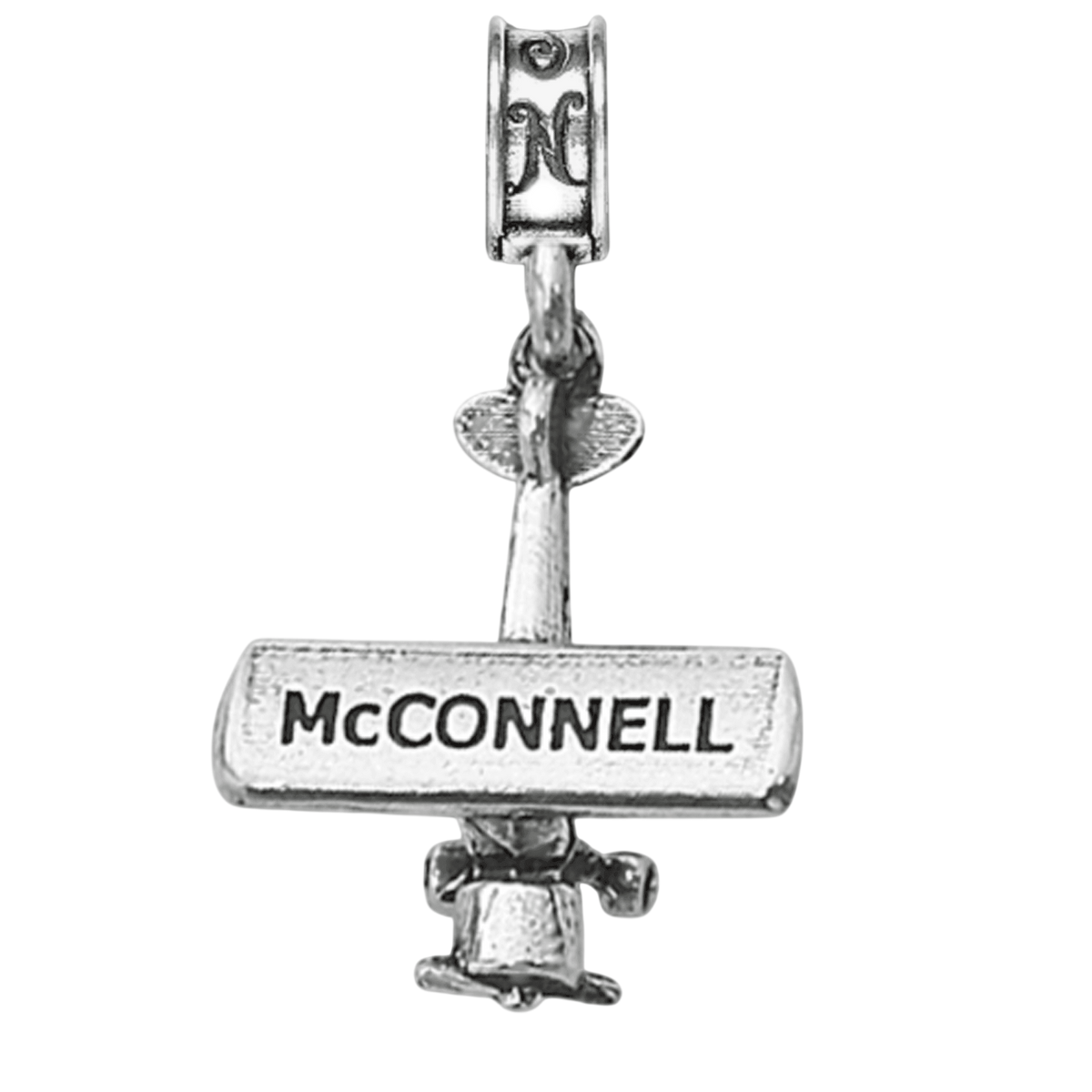 McConnell AFB Cessna Charm