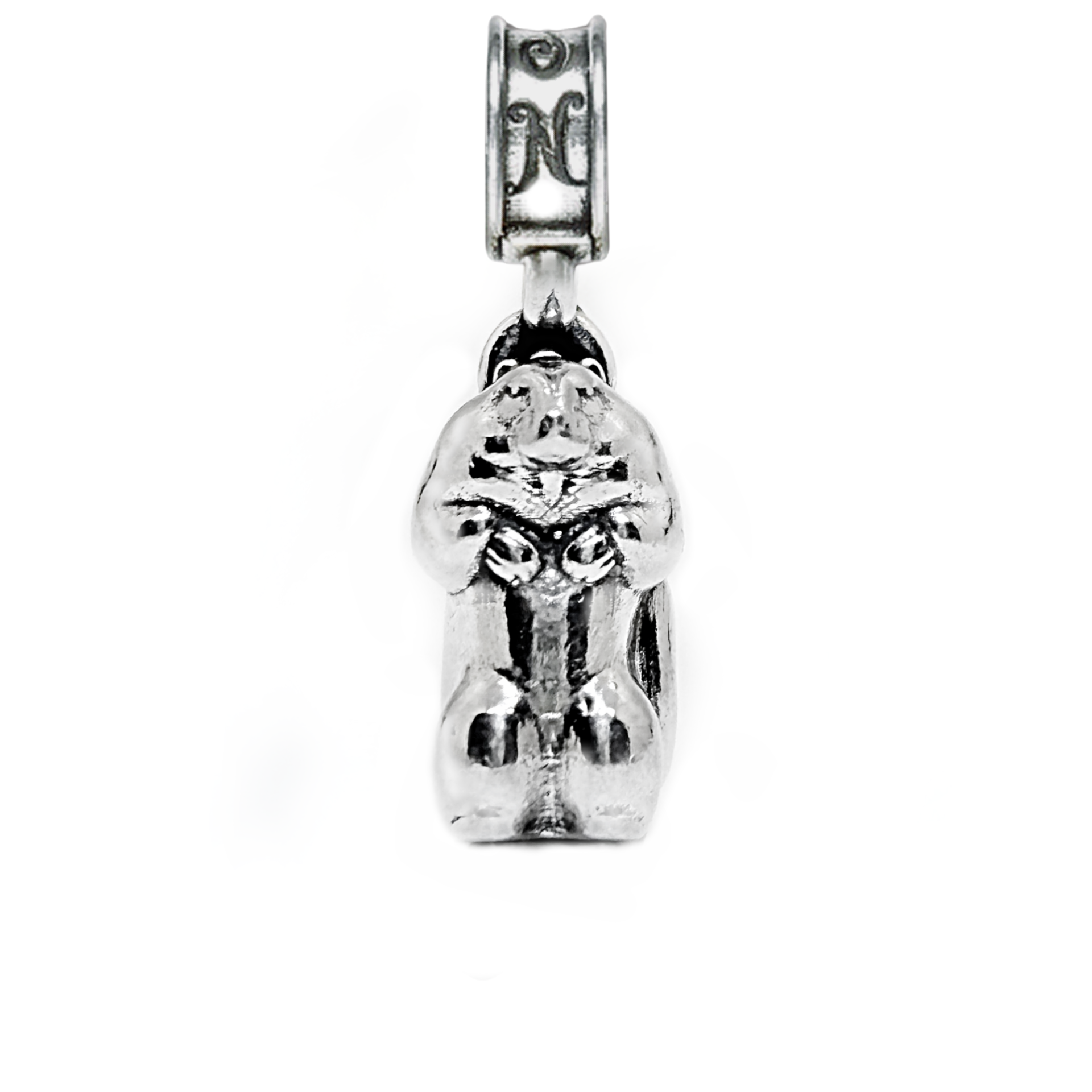 Fort Meade Groundhog Charm