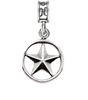 Military Charms NAS JRB ort Worth, Texas Navy Joint Base