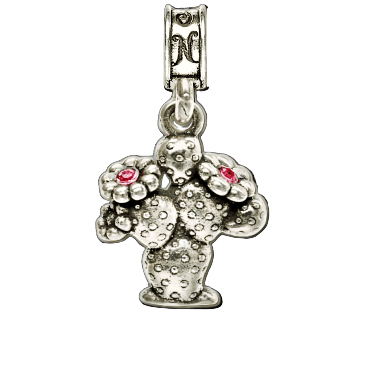 MCAS Yuma Cactus Charm