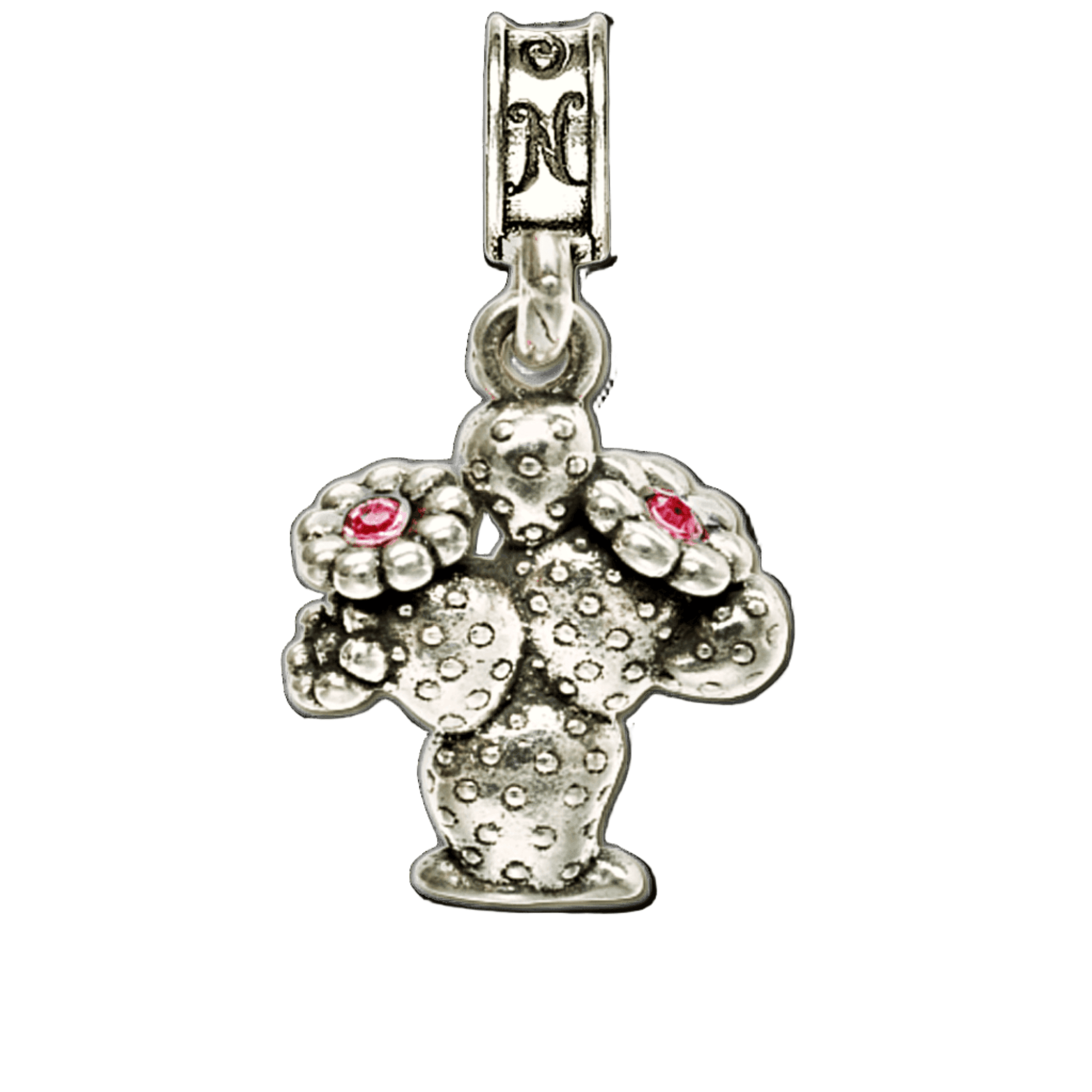 MCAS Yuma Cactus Charm