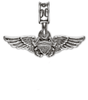 Naval Flight Officer