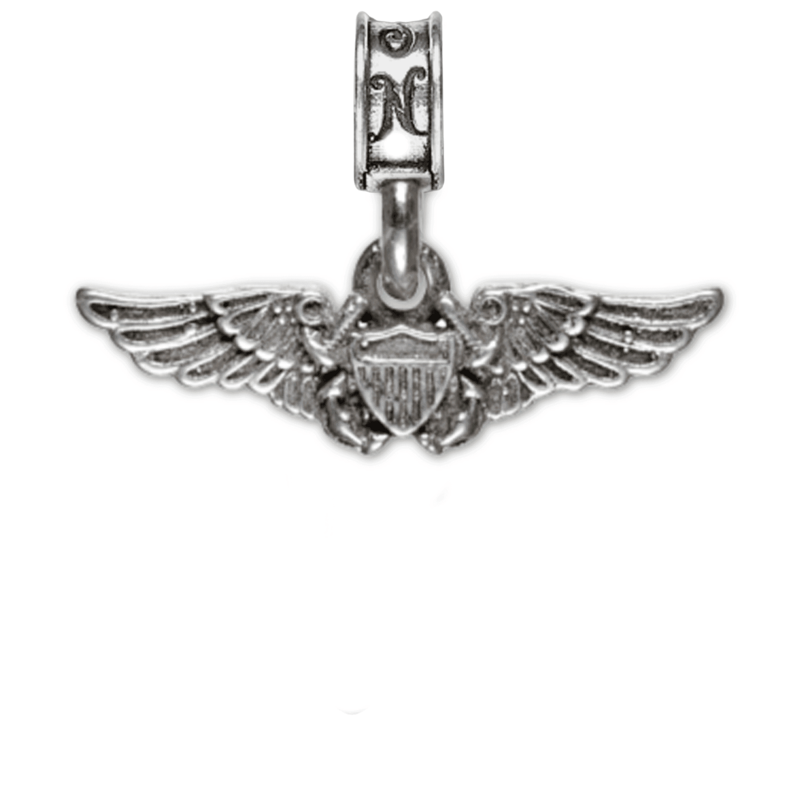 Naval Flight Officer
