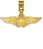 Naval Flight Officer