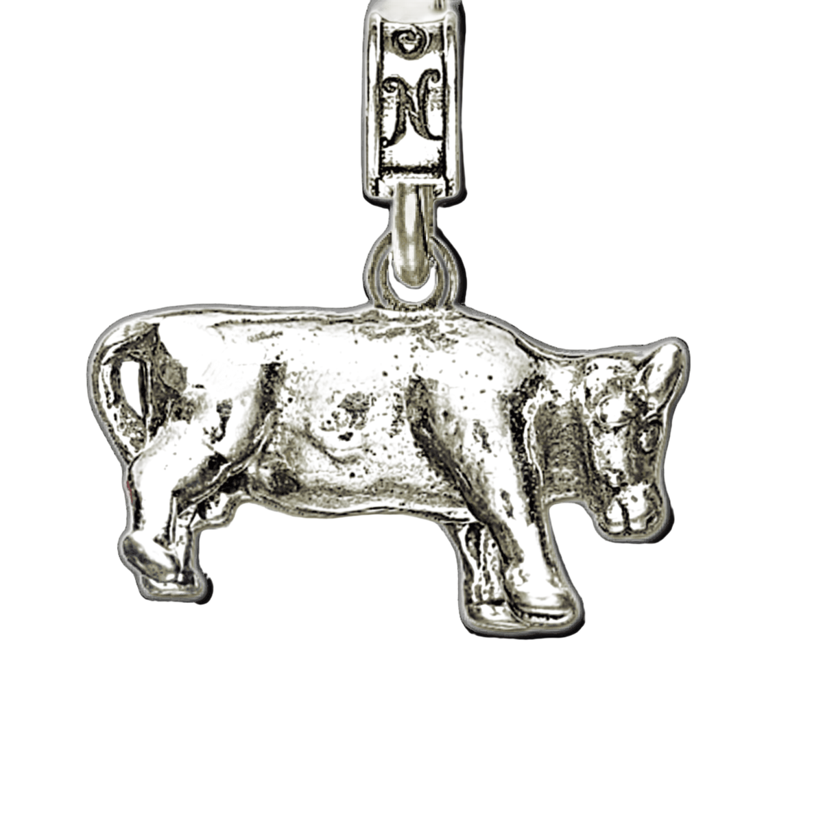 MCAS El Toro Bull Charm