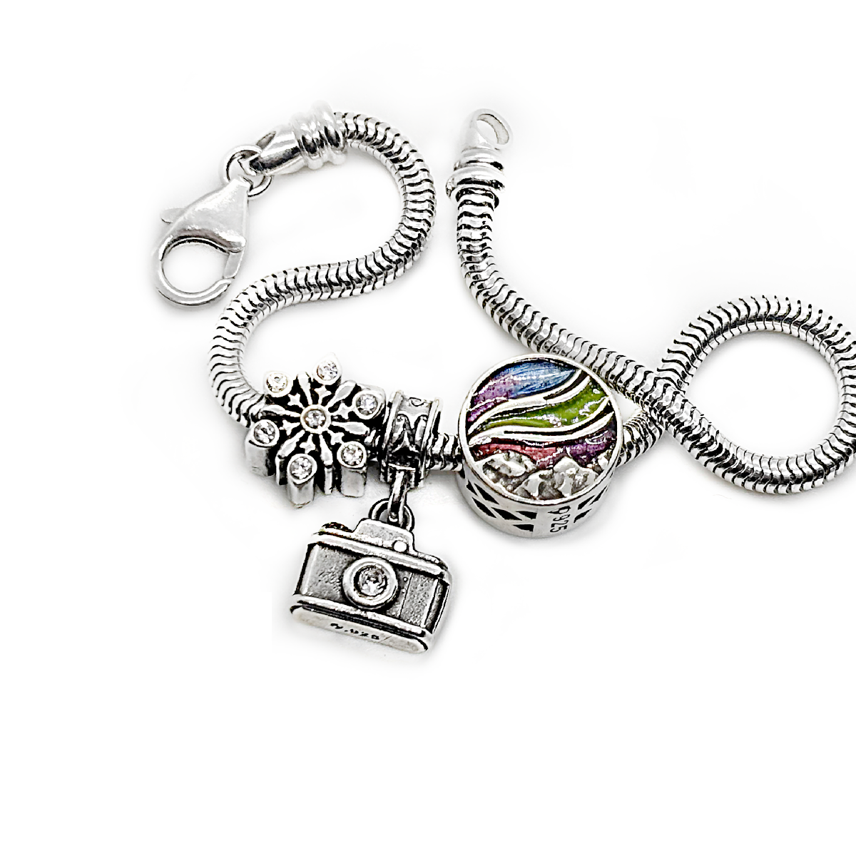 Public Affairs Camera Charm