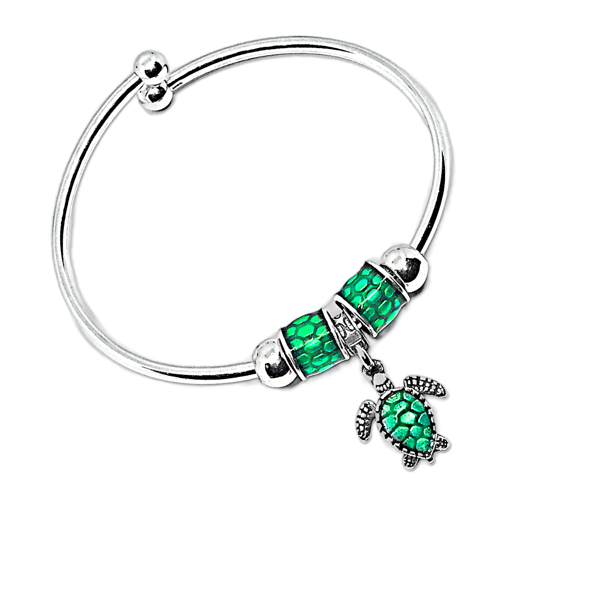MCB Camp Lejeune Turtle Charm